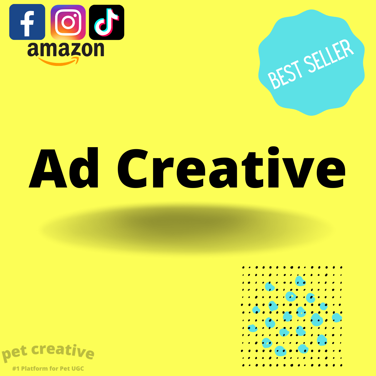 Single Ad Creative (Custom UGC)