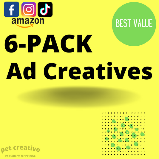 6-PACK Ad Creatives (Custom UGC)