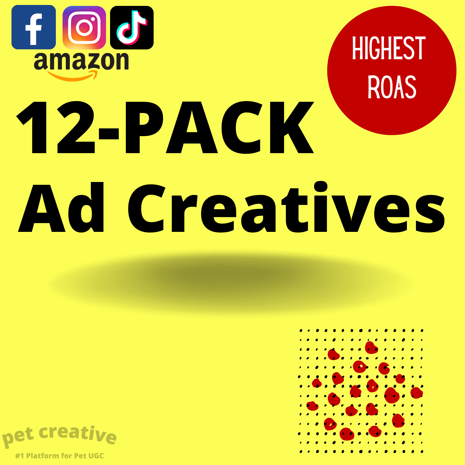 12-PACK Ad Creatives (Custom UGC)